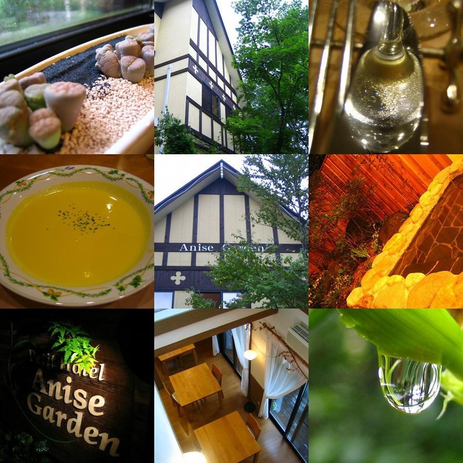 Hotel Anise Garden à Hakuba Extérieur photo